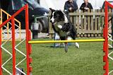 AGILITY - SAUT 042